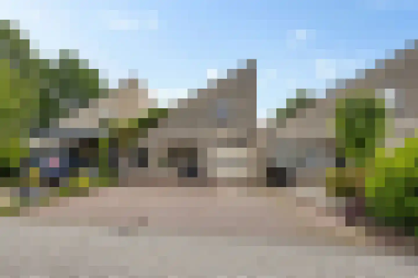 Oeverzwaluw 17 Emmen thumbnail 5