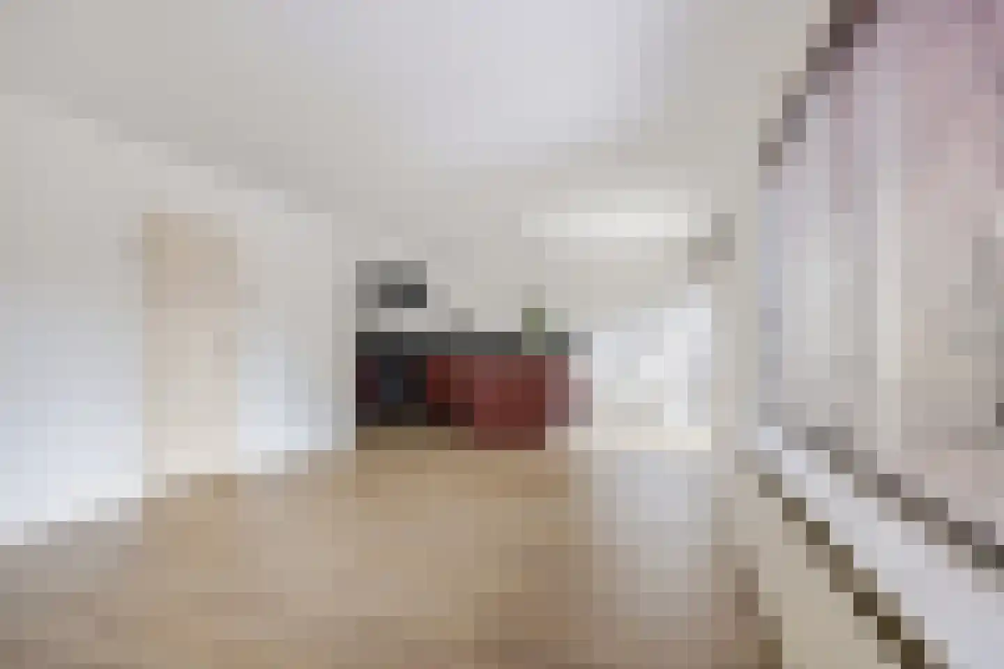 Oeverzwaluw 17 Emmen thumbnail 7