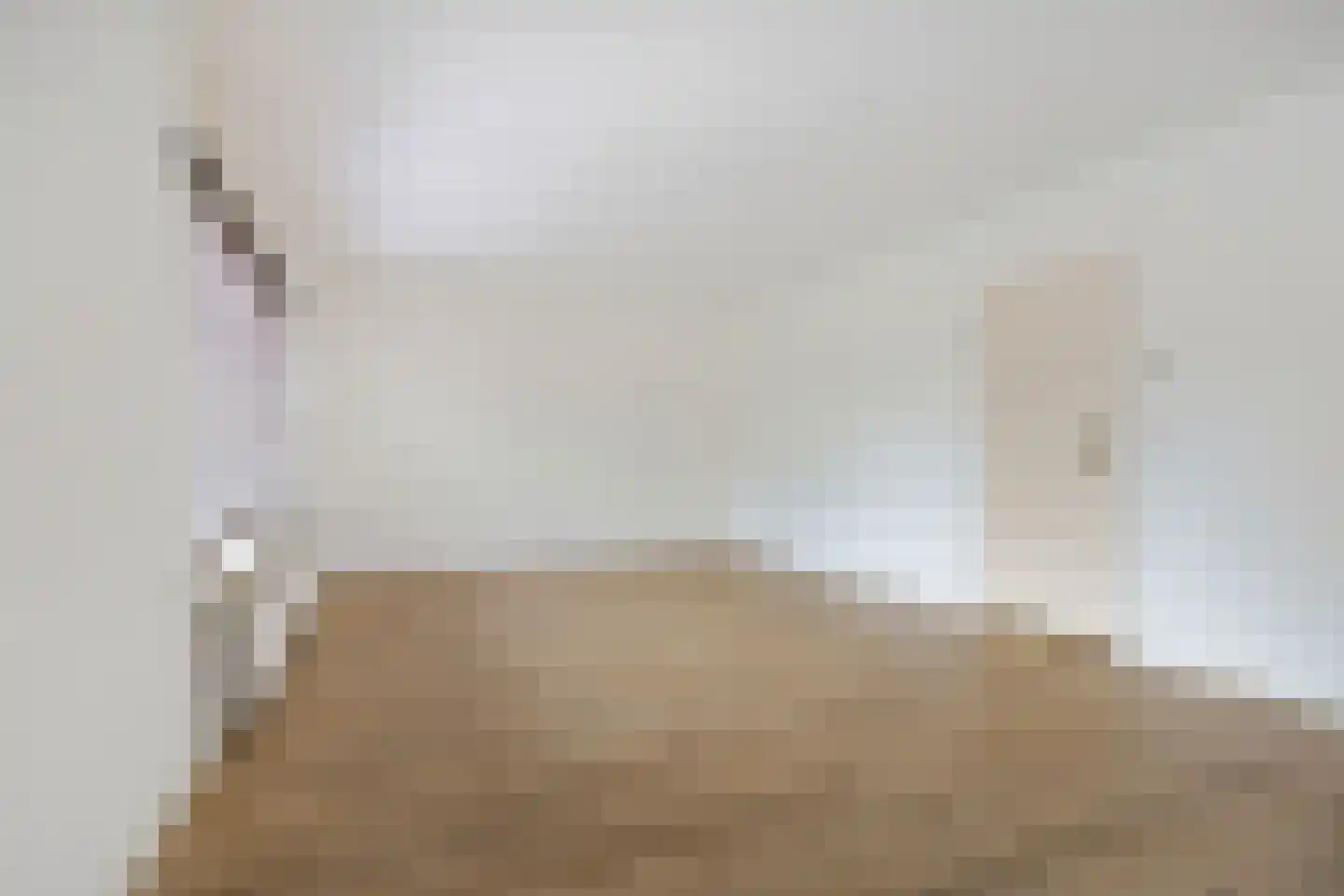 Oeverzwaluw 17 Emmen thumbnail 9