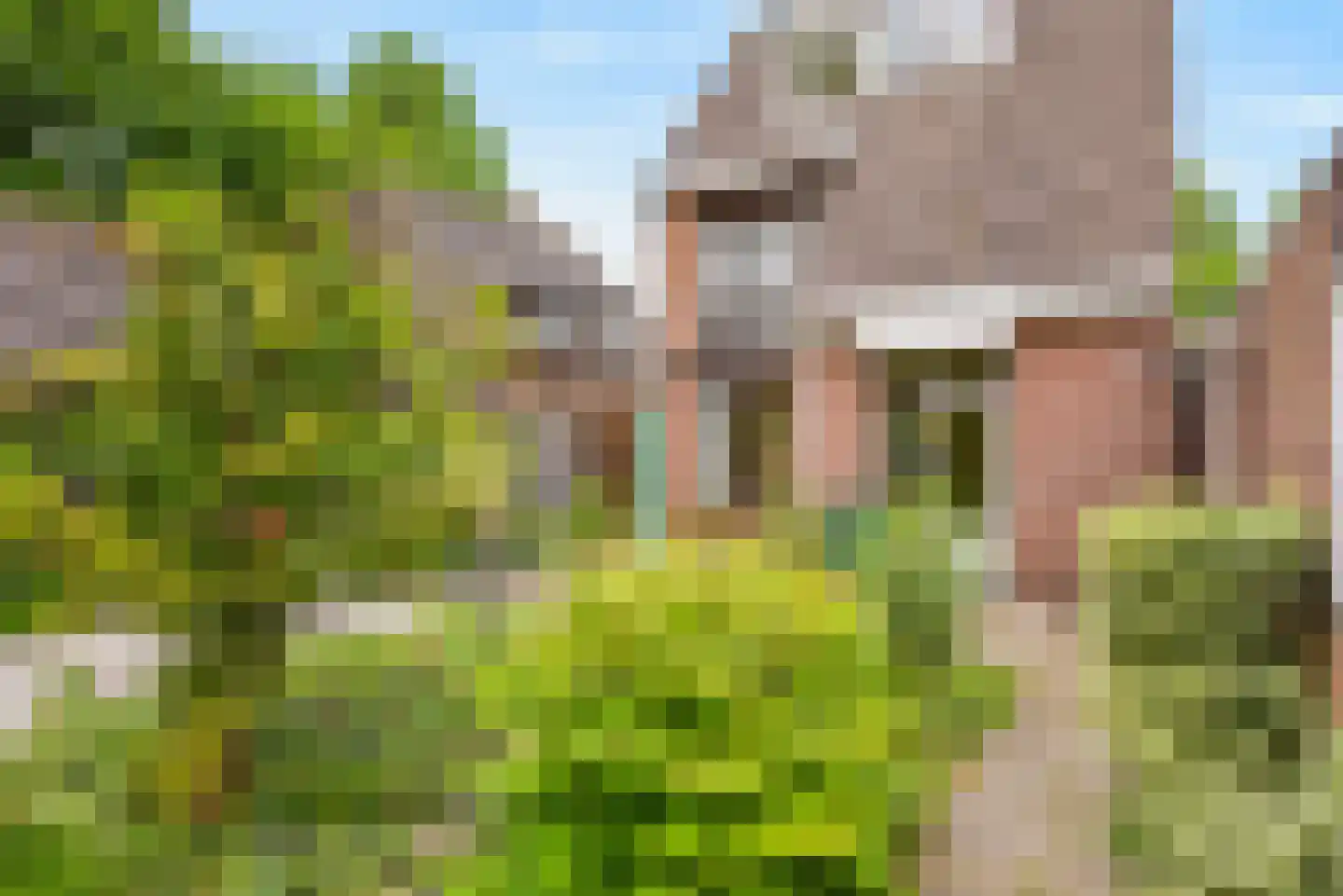Oeverzwaluw 18 A Veenendaal thumbnail 22
