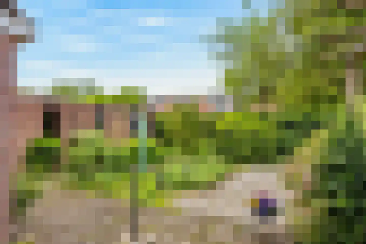 Oeverzwaluw 18 A Veenendaal thumbnail 22
