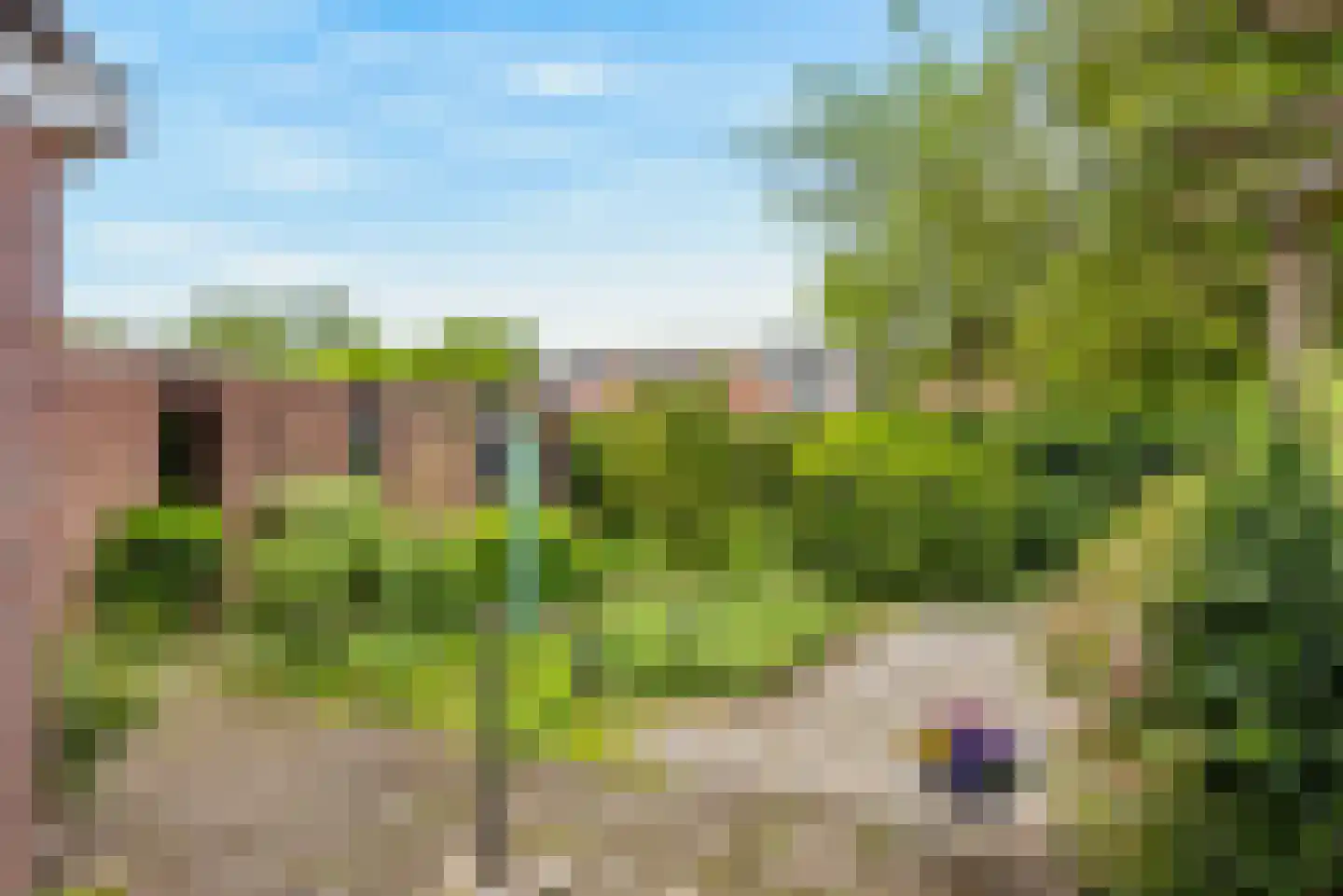 Oeverzwaluw 18 A Veenendaal thumbnail 24