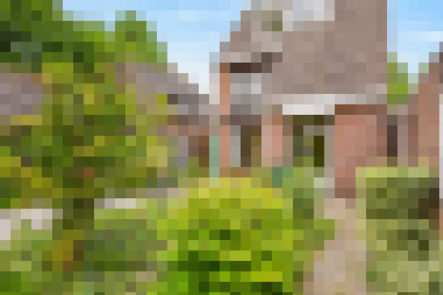 Oeverzwaluw 18 A Veenendaal thumbnail 24
