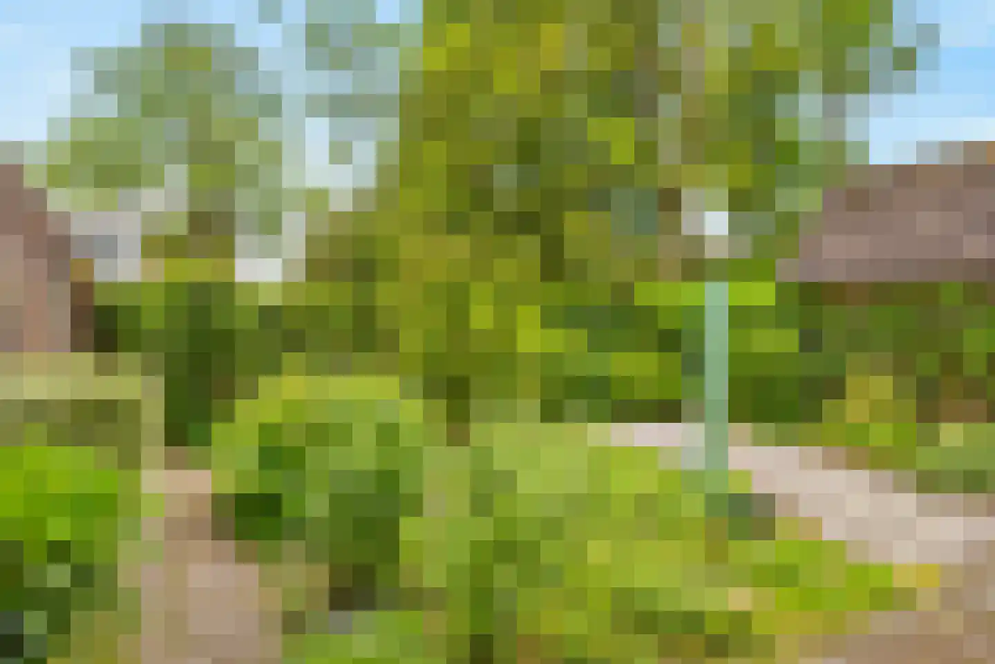 Oeverzwaluw 18 A Veenendaal thumbnail 25