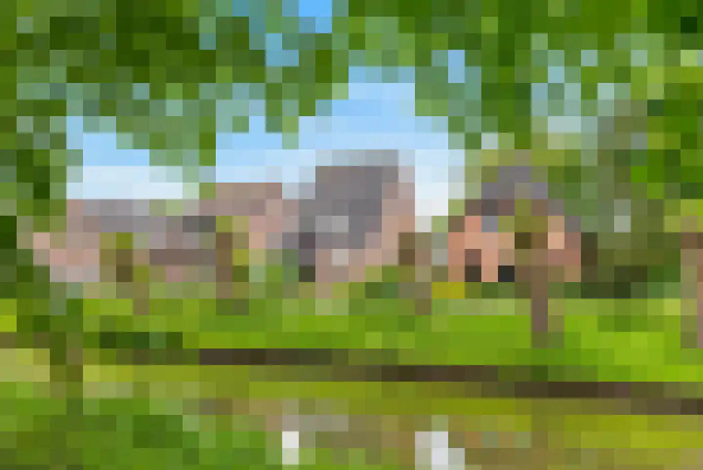Oeverzwaluw 18 A Veenendaal thumbnail 28