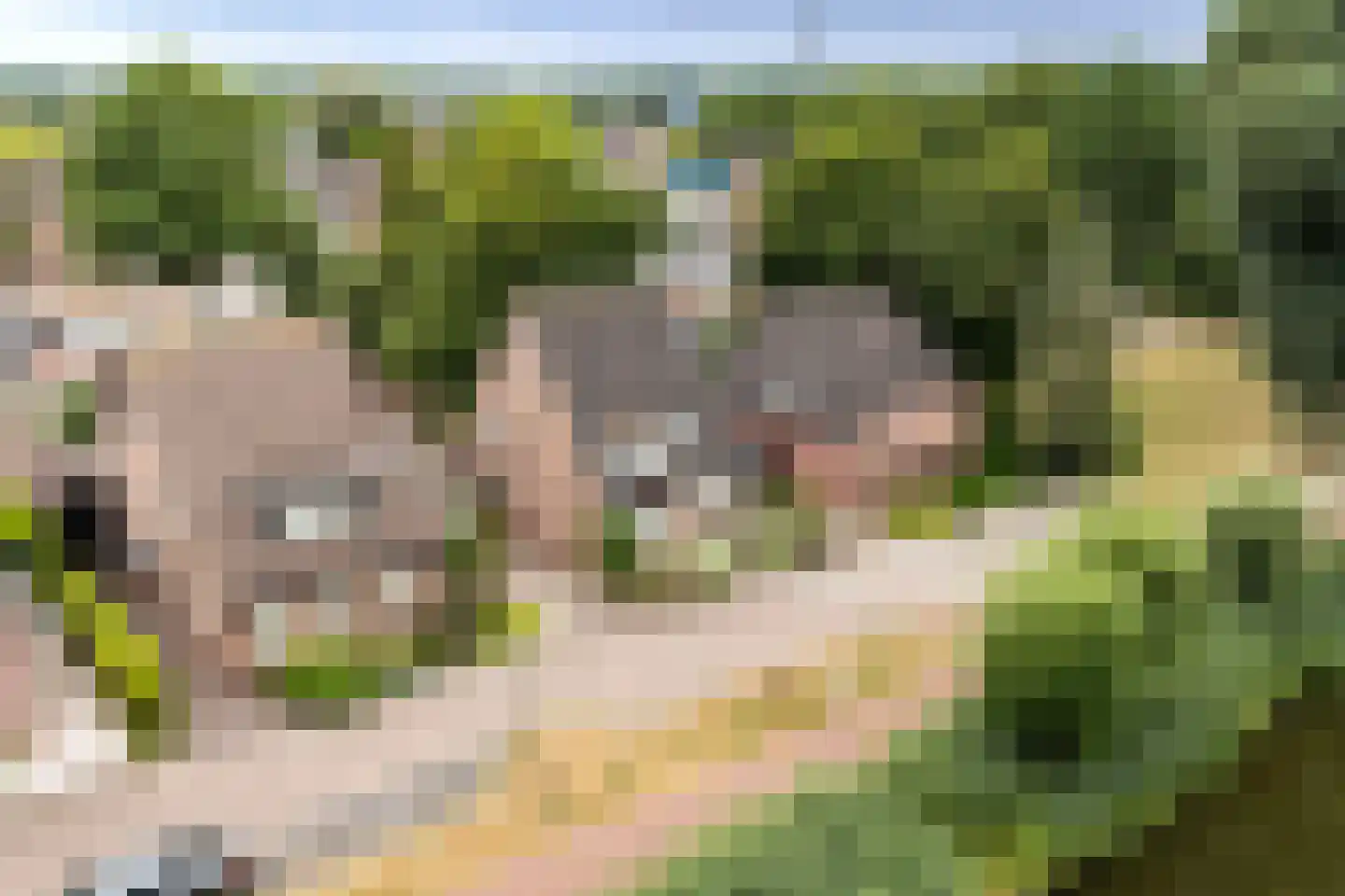 Oeverzwaluw 18 A Veenendaal thumbnail 29