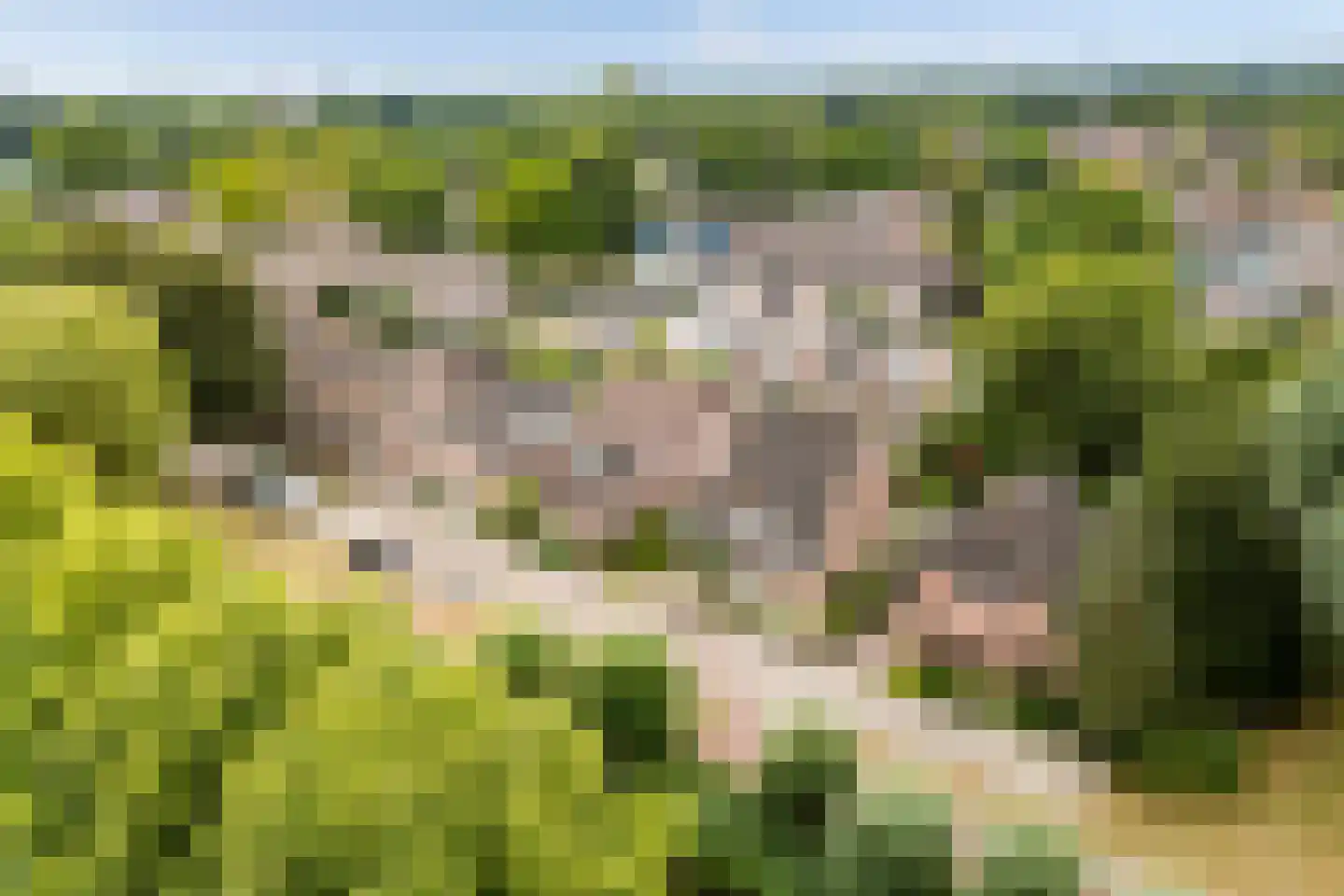 Oeverzwaluw 18 A Veenendaal thumbnail 30