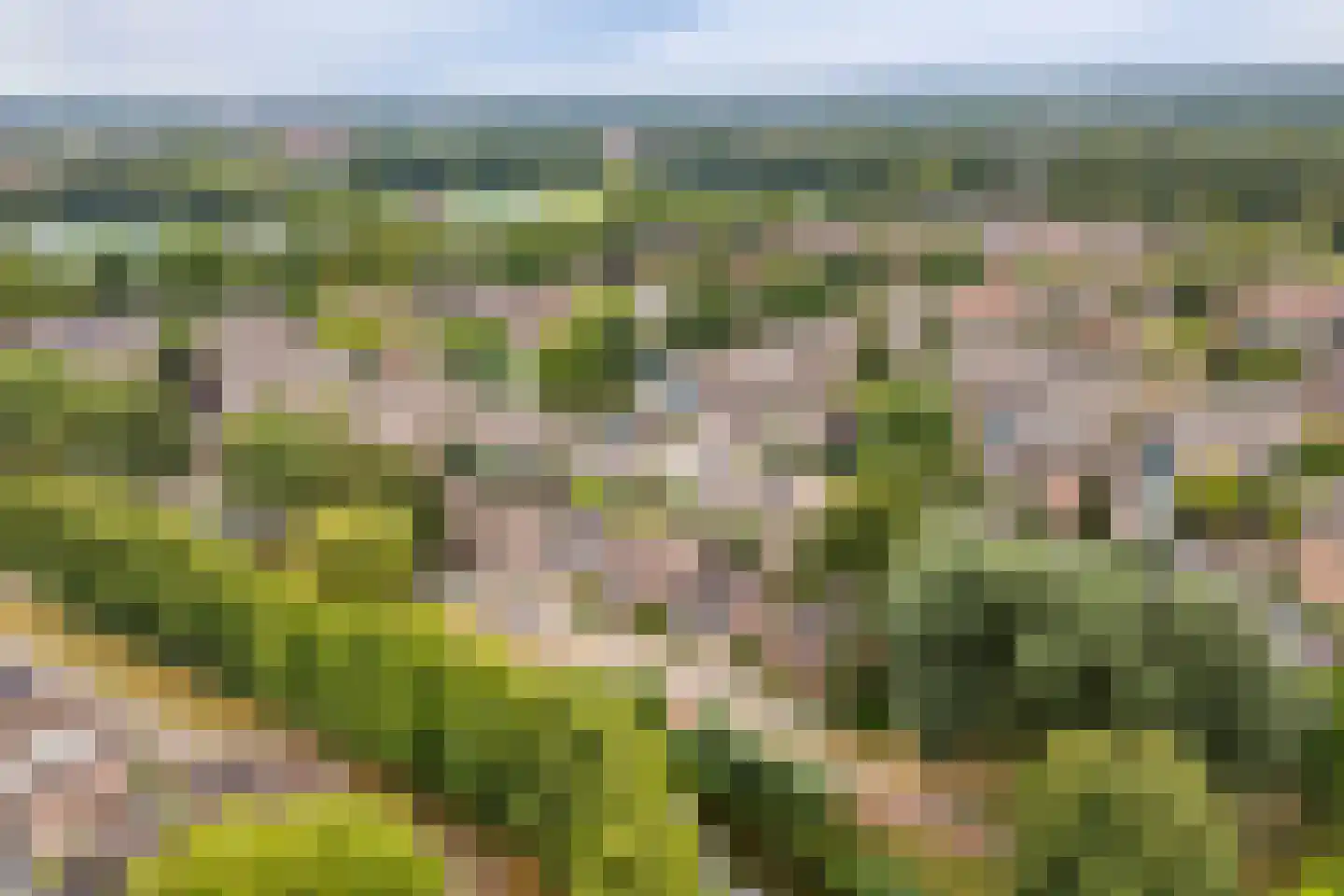 Oeverzwaluw 18 A Veenendaal thumbnail 31