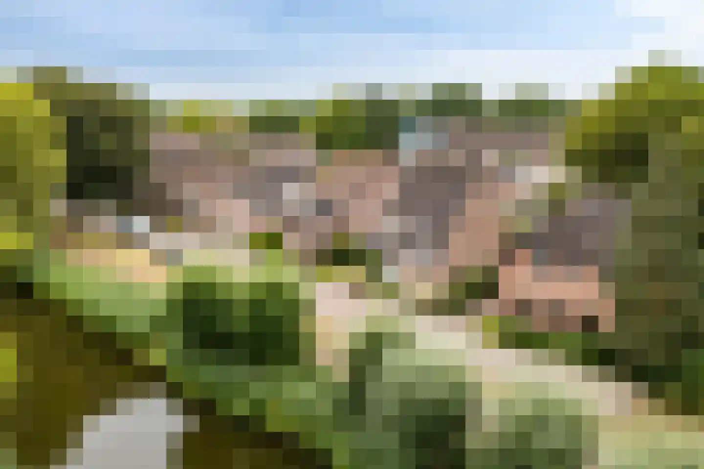 Oeverzwaluw 18 A Veenendaal thumbnail 32