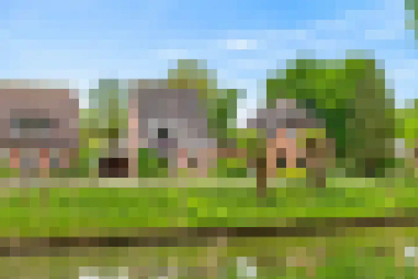 Oeverzwaluw 18 A Veenendaal thumbnail 37