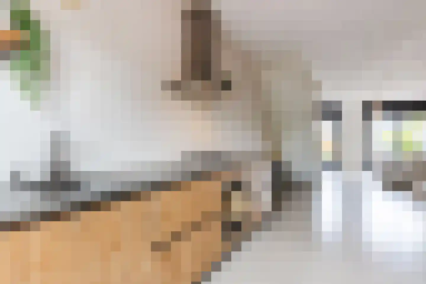 Oeverzwaluw 18 Goirle thumbnail 11