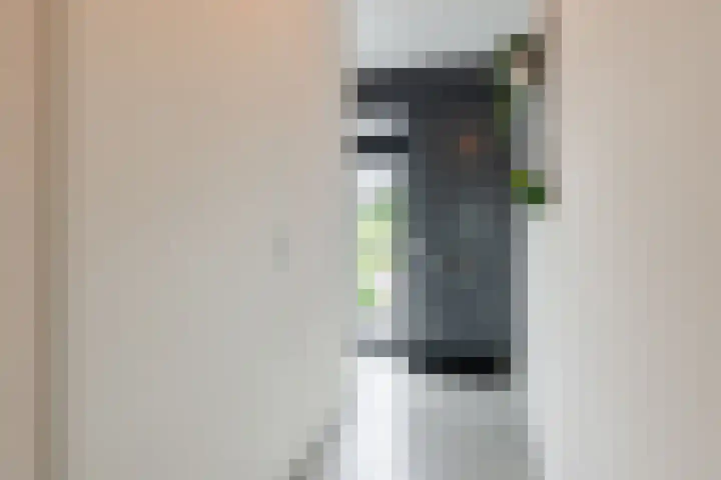 Oeverzwaluw 18 Goirle thumbnail 13