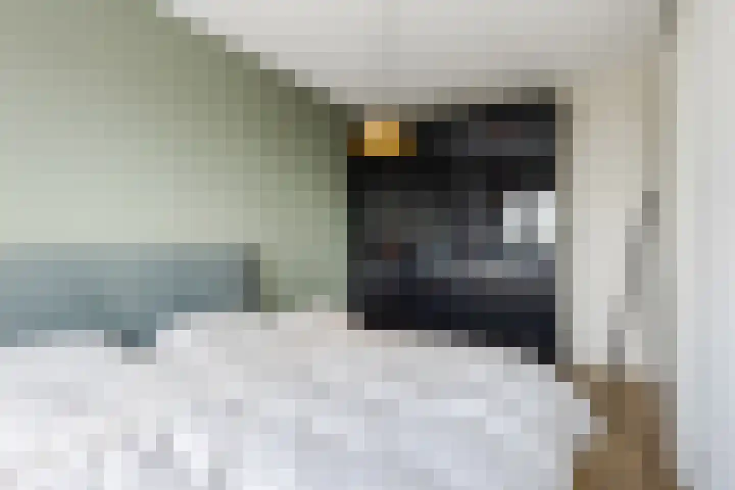 Oeverzwaluw 18 Goirle thumbnail 16