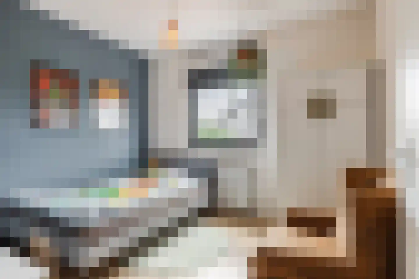 Oeverzwaluw 18 Goirle thumbnail 17