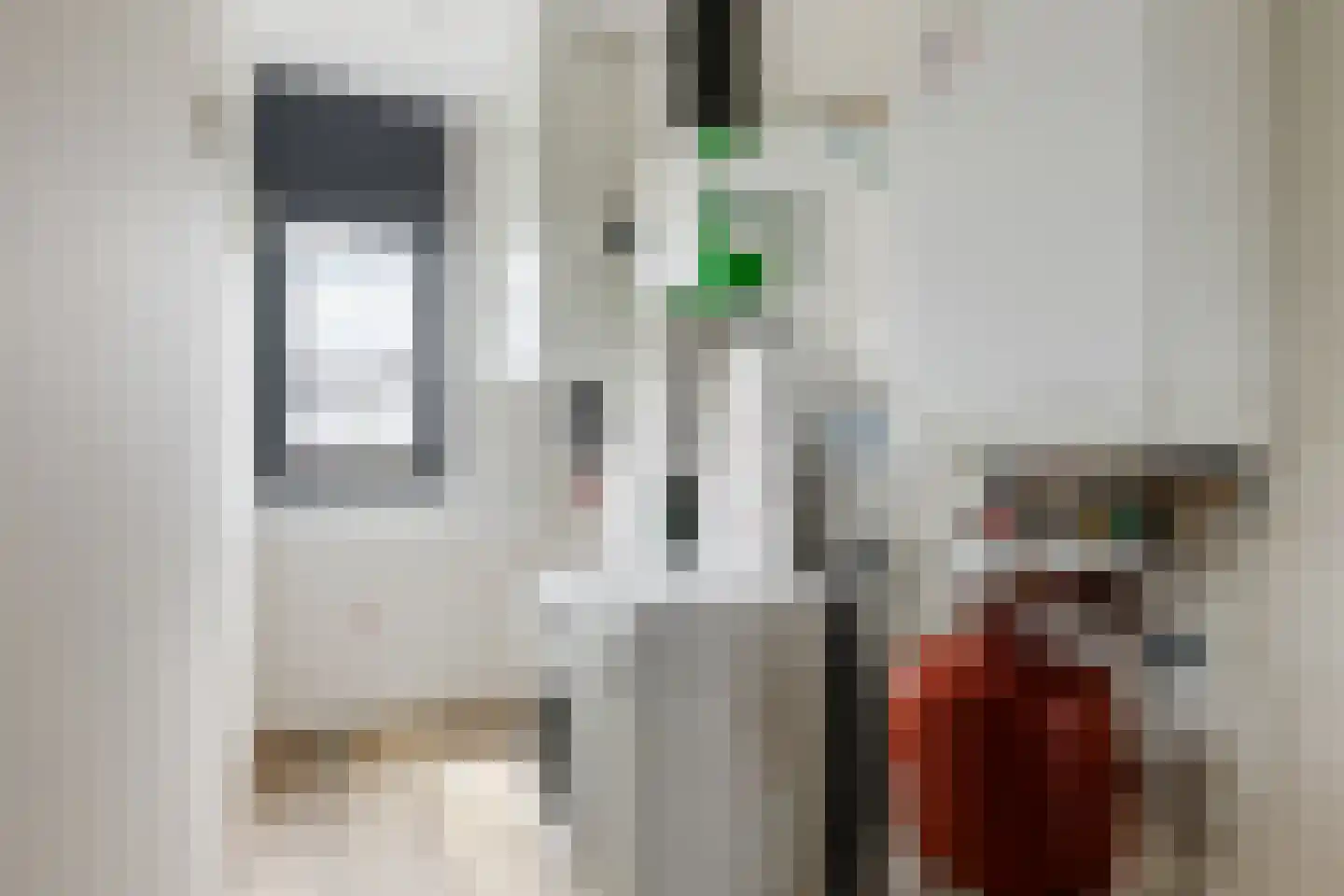Oeverzwaluw 18 Goirle thumbnail 23