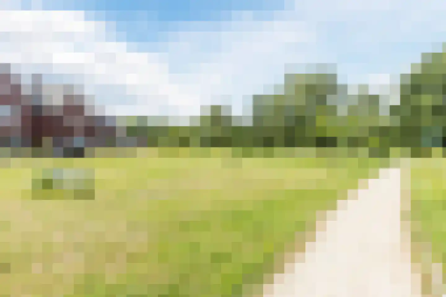 Oeverzwaluw 18 Goirle thumbnail 34
