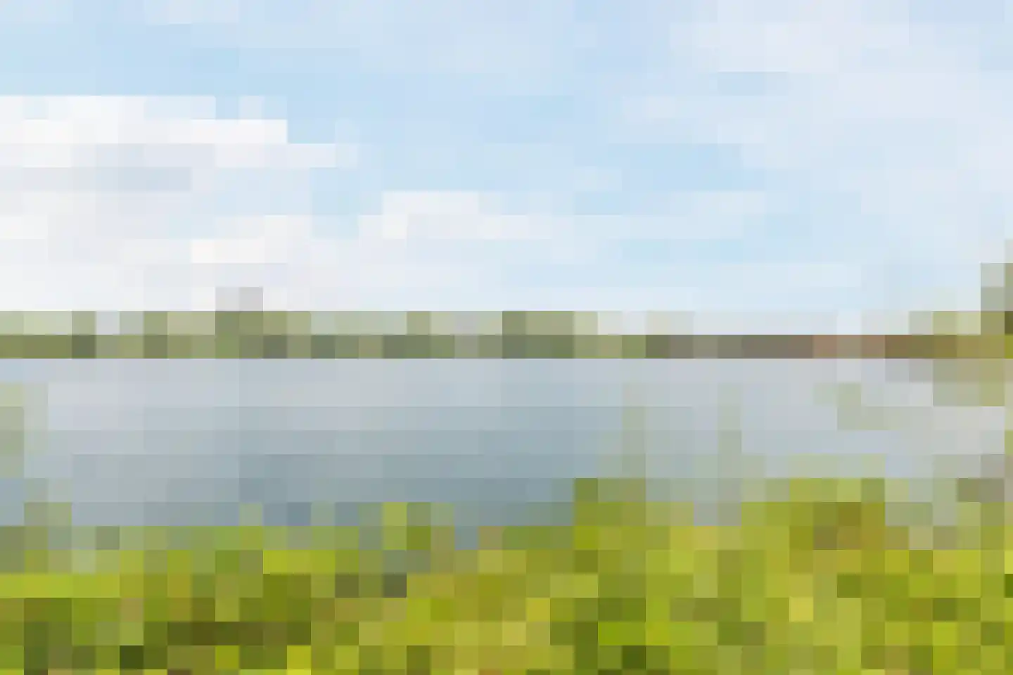 Oeverzwaluw 18 Goirle thumbnail 36