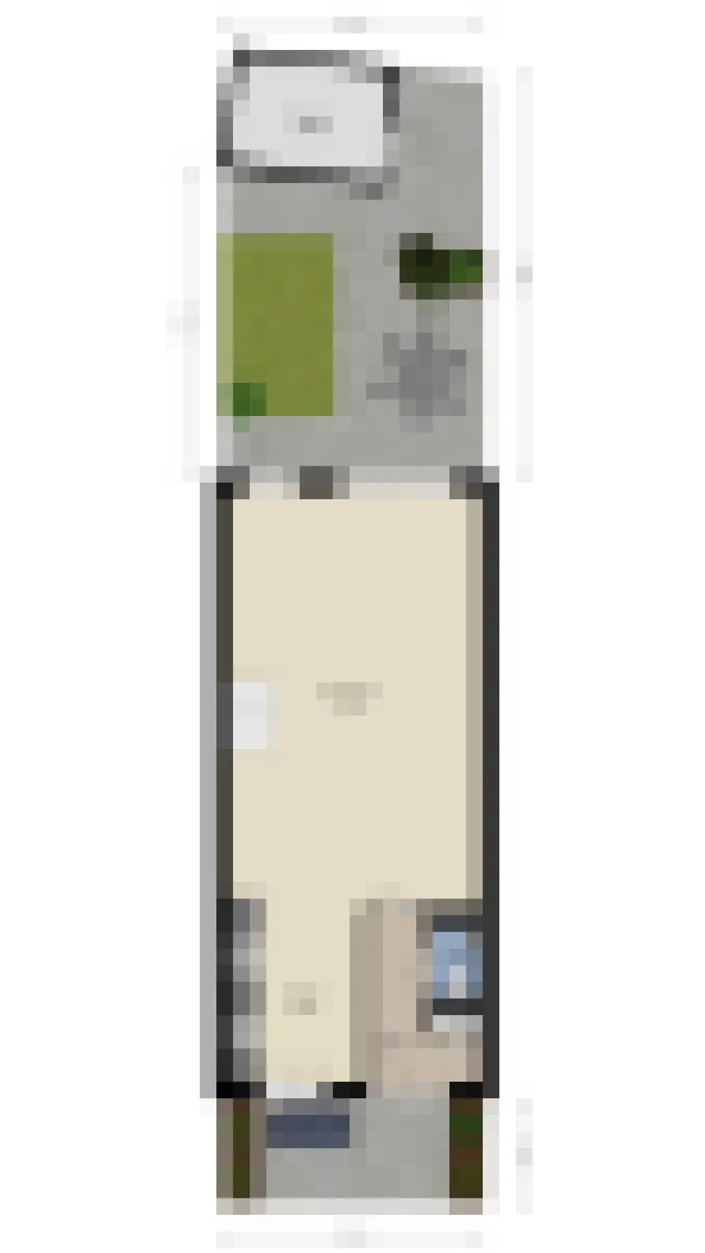 Oeverzwaluw 18 Goirle thumbnail 37