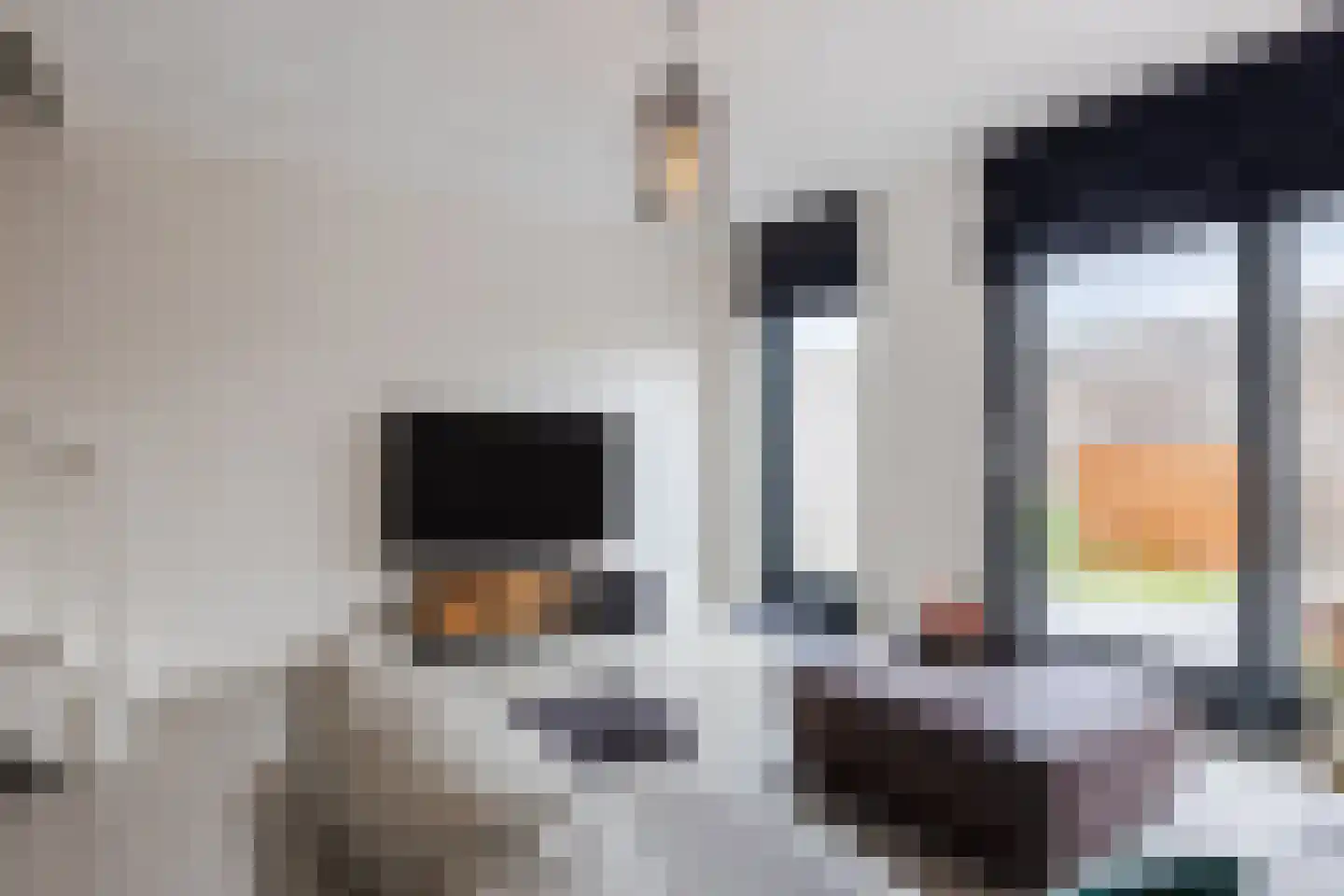 Oeverzwaluw 18 Goirle thumbnail 5
