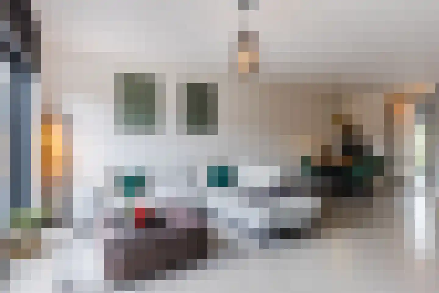 Oeverzwaluw 18 Goirle thumbnail 6