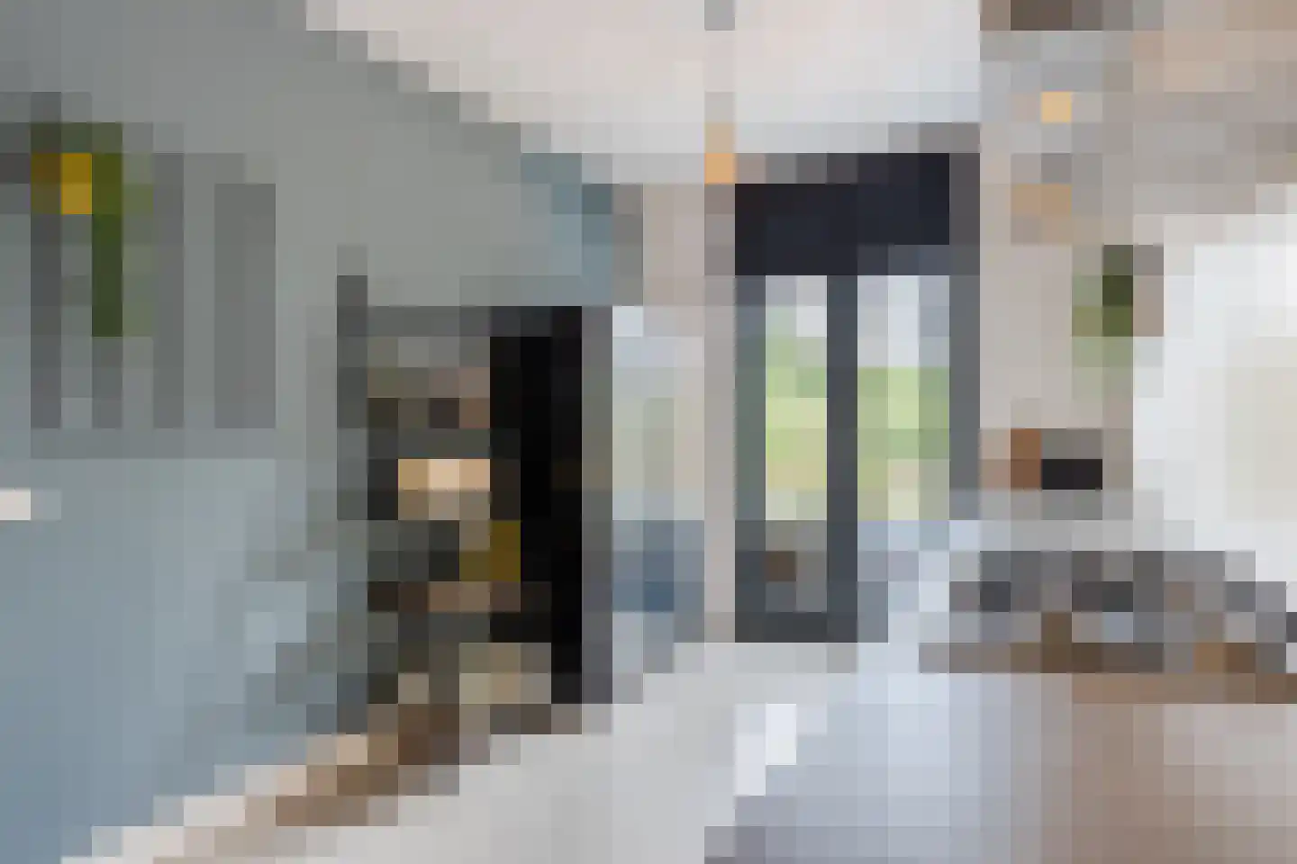 Oeverzwaluw 18 Goirle thumbnail 9