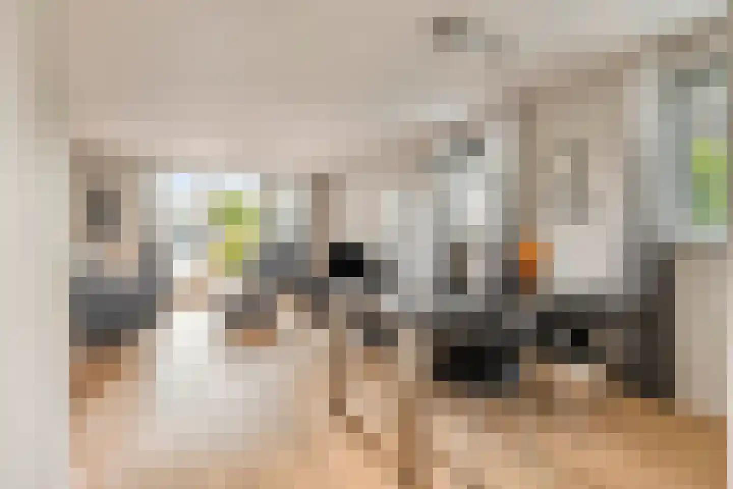 Oeverzwaluw 2 Rilland thumbnail 11