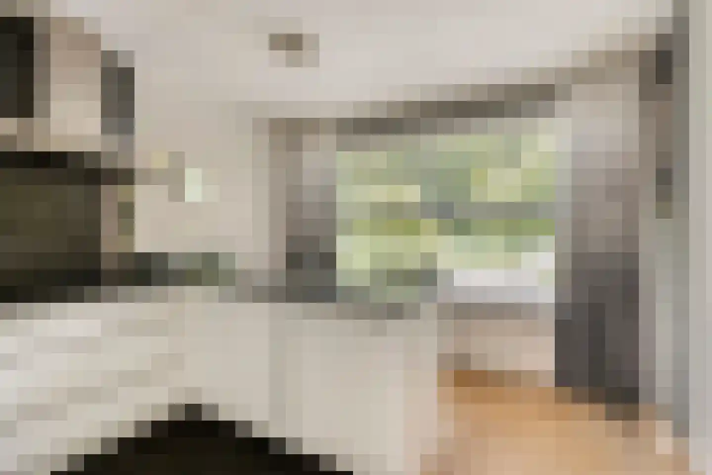 Oeverzwaluw 2 Rilland thumbnail 17