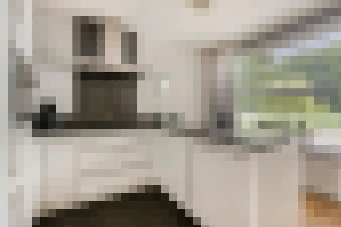 Oeverzwaluw 2 Rilland thumbnail 18