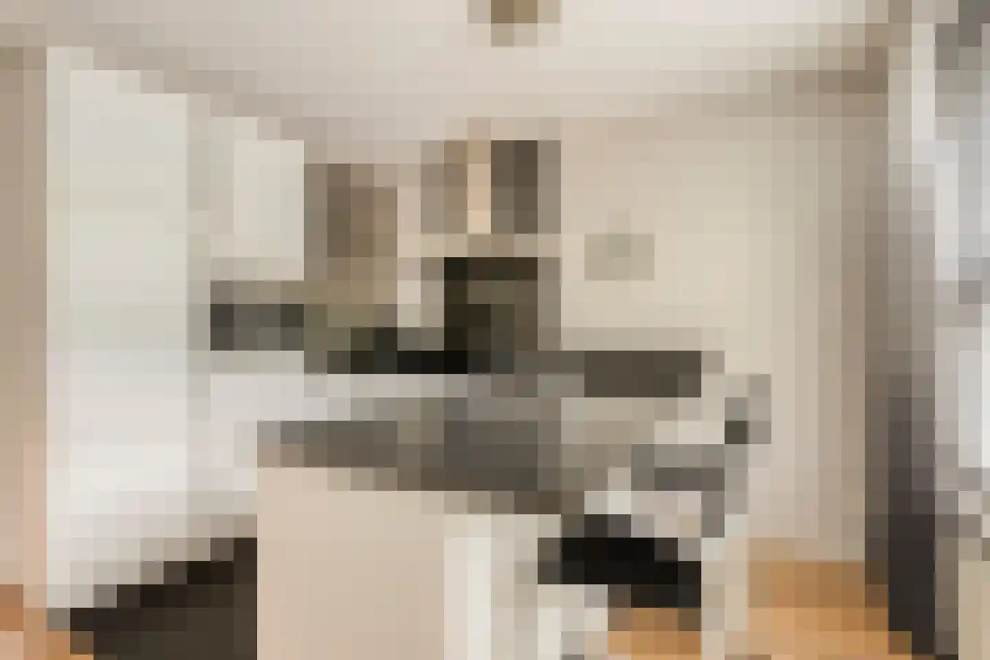 Oeverzwaluw 2 Rilland thumbnail 19