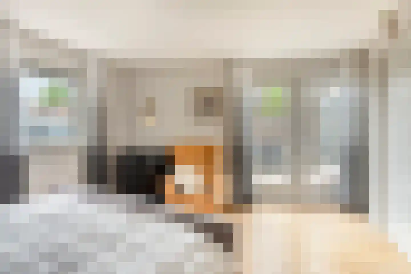 Oeverzwaluw 2 Rilland thumbnail 24