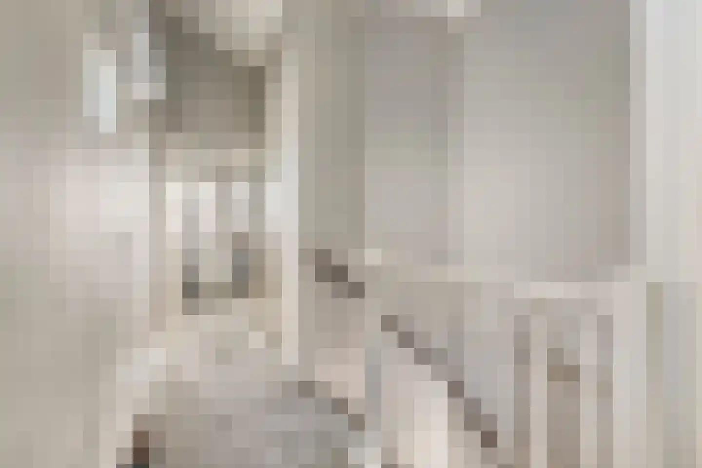 Oeverzwaluw 2 Rilland thumbnail 30