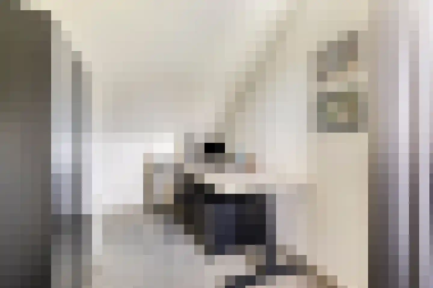 Oeverzwaluw 2 Rilland thumbnail 34