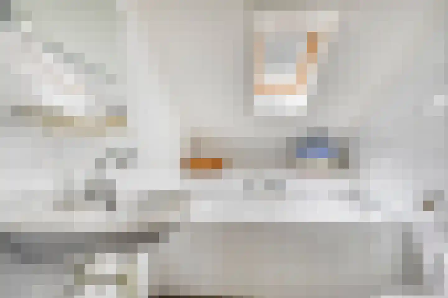 Oeverzwaluw 2 Rilland thumbnail 36