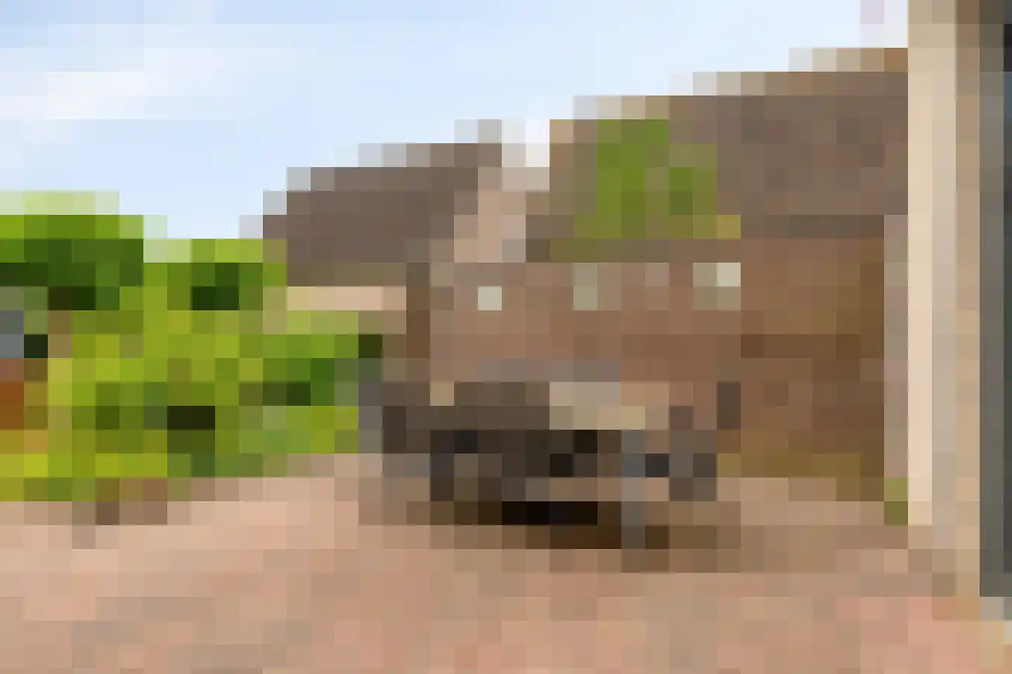 Oeverzwaluw 2 Rilland thumbnail 40