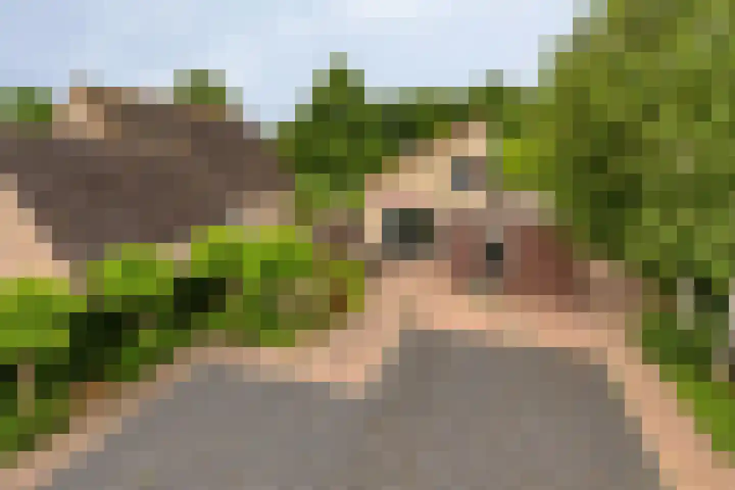 Oeverzwaluw 2 Rilland thumbnail 42