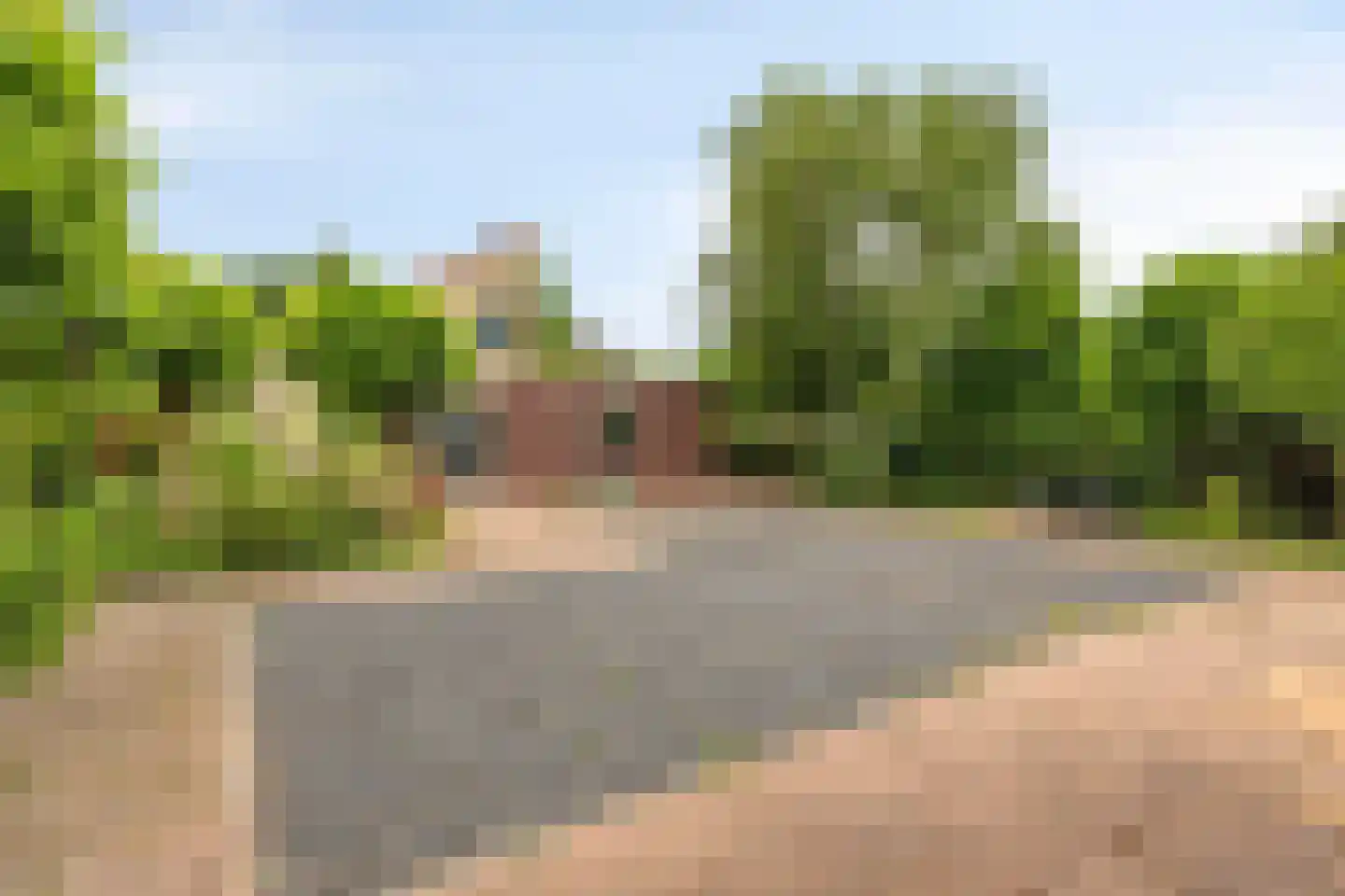 Oeverzwaluw 2 Rilland thumbnail 45