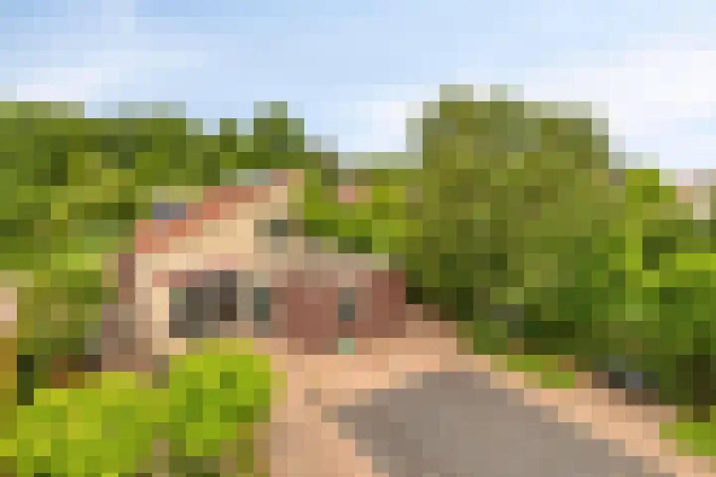Oeverzwaluw 2 Rilland thumbnail 46