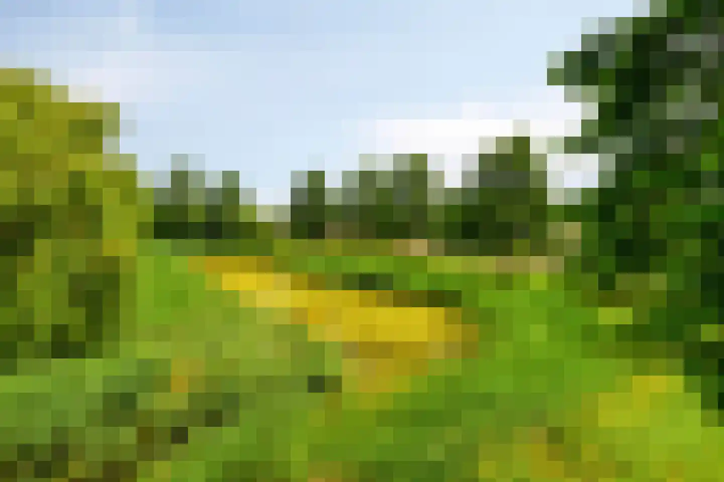 Oeverzwaluw 2 Rilland thumbnail 49