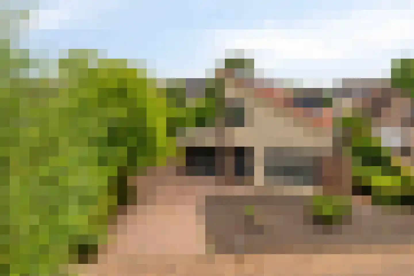 Oeverzwaluw 2 Rilland thumbnail 5