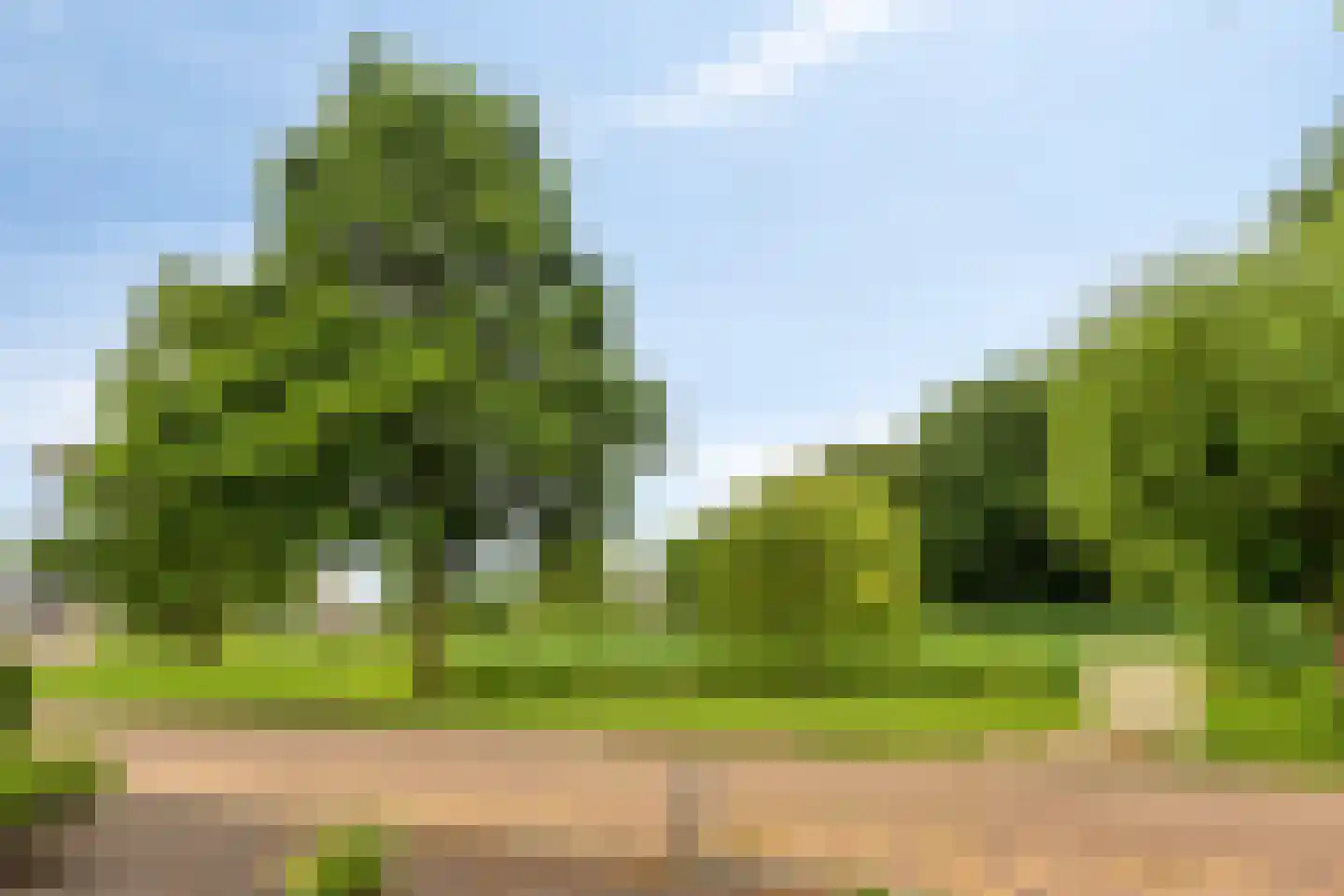 Oeverzwaluw 2 Rilland thumbnail 50
