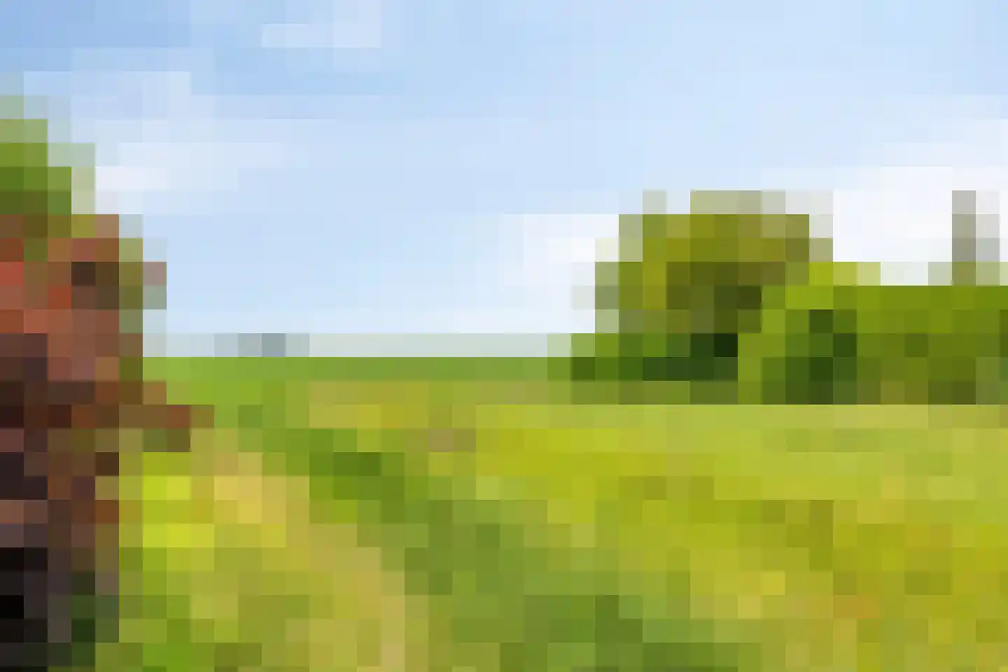 Oeverzwaluw 2 Rilland thumbnail 52