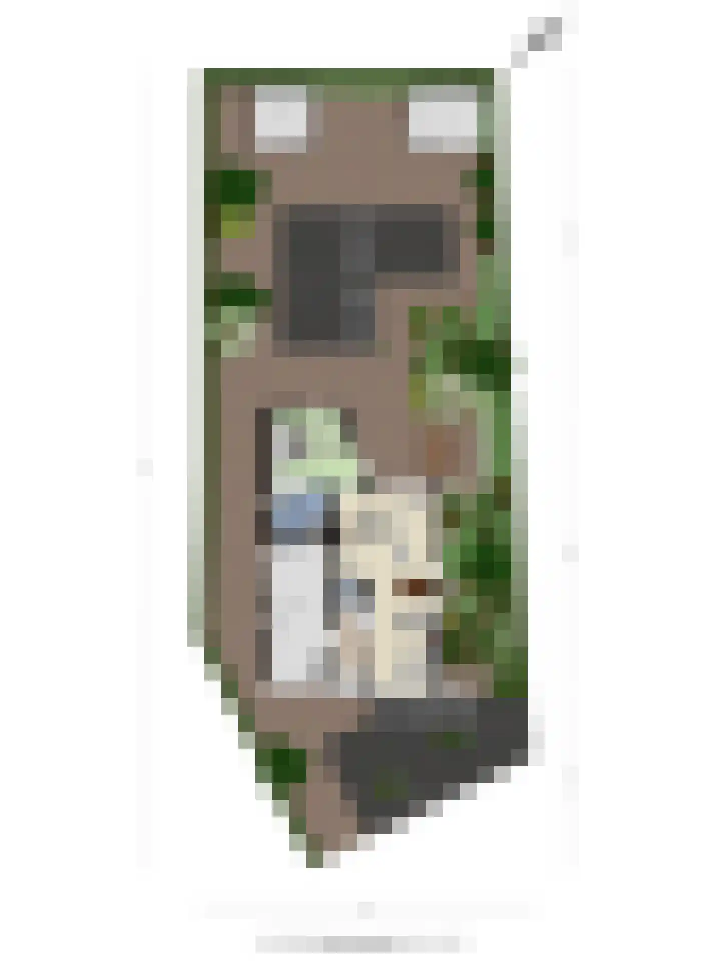 Oeverzwaluw 2 Rilland thumbnail 59