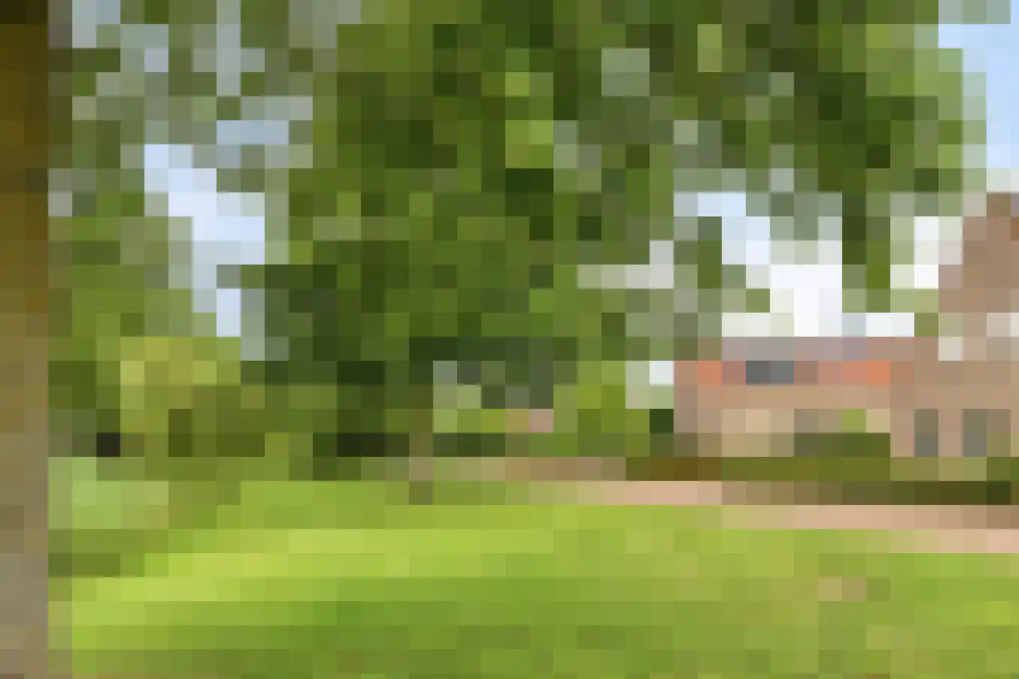 Oeverzwaluw 2 Rilland thumbnail 7