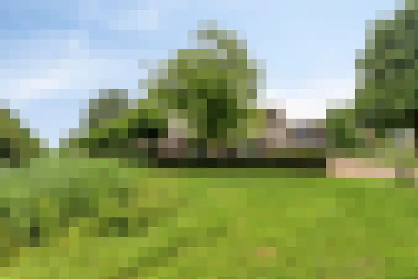 Oeverzwaluw 2 Rilland thumbnail 8