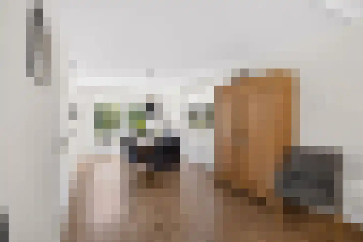 Oeverzwaluw 20 A Veenendaal thumbnail 10