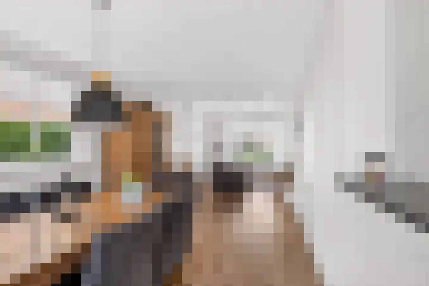 Oeverzwaluw 20 A Veenendaal thumbnail 11