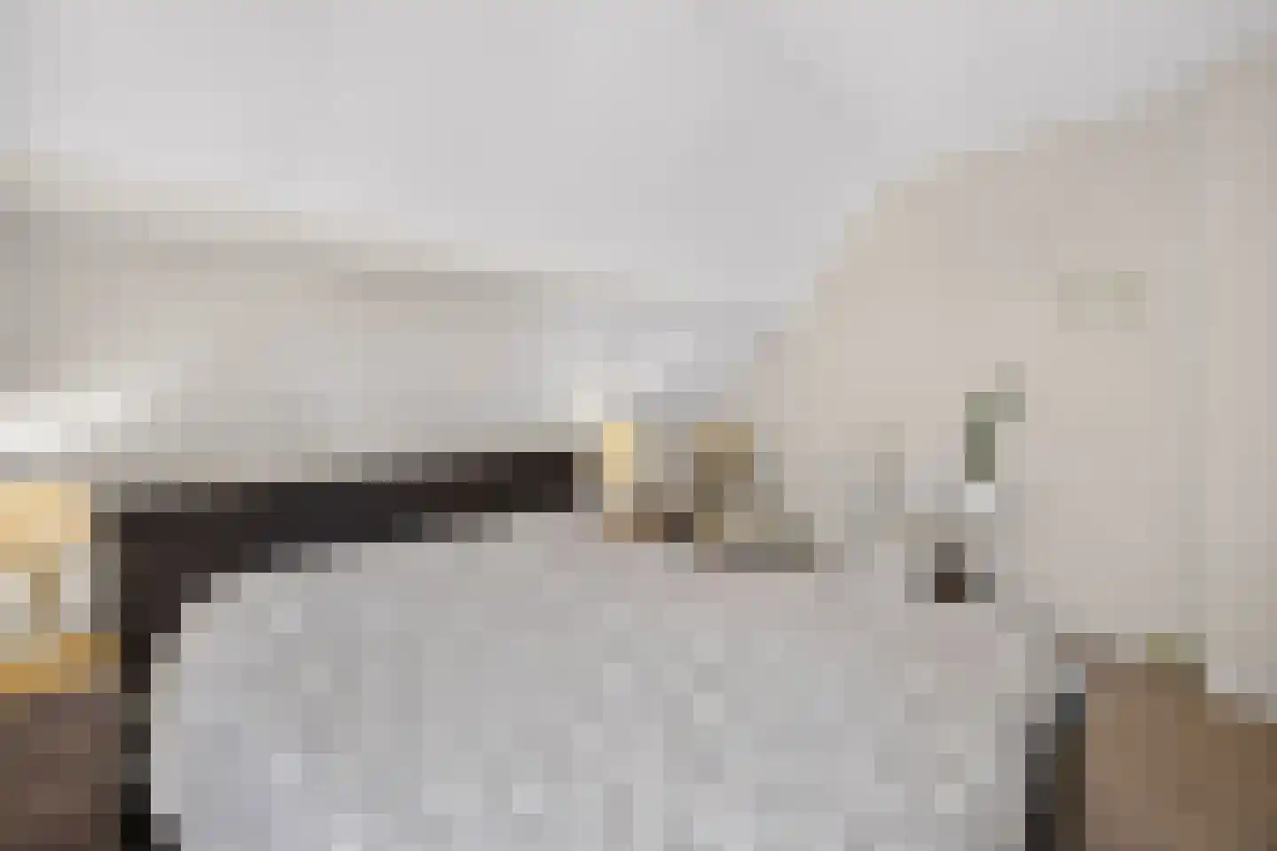 Oeverzwaluw 20 A Veenendaal thumbnail 17