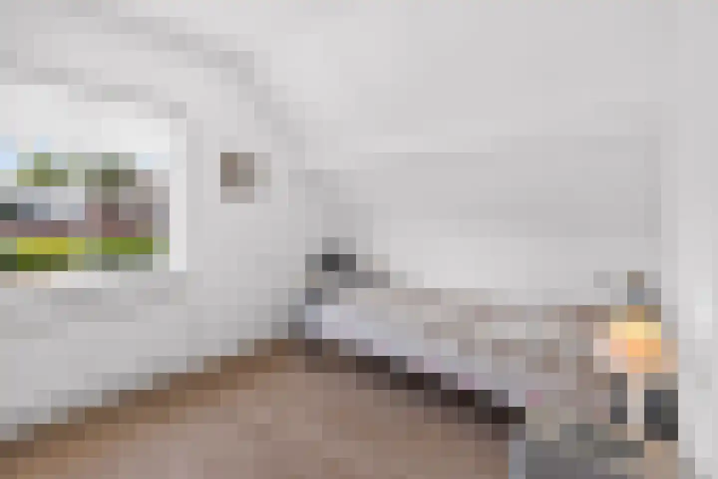 Oeverzwaluw 20 A Veenendaal thumbnail 18