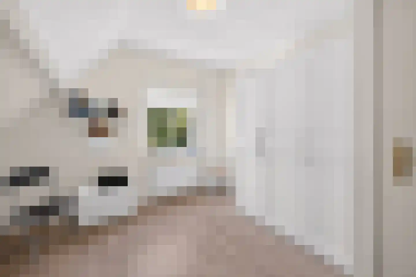 Oeverzwaluw 20 A Veenendaal thumbnail 19