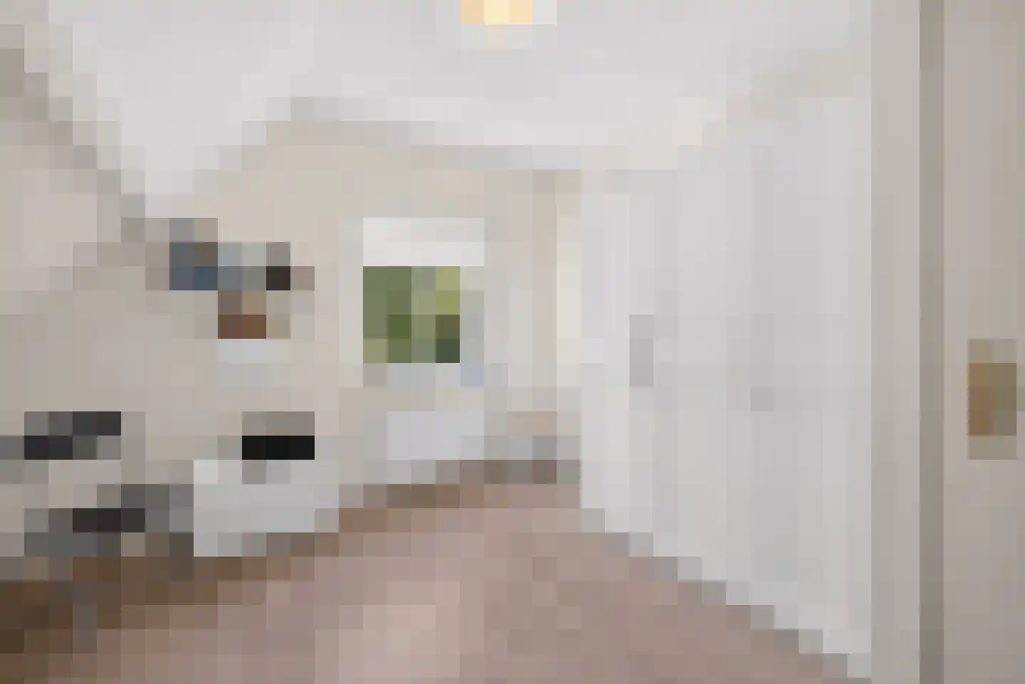 Oeverzwaluw 20 A Veenendaal thumbnail 20